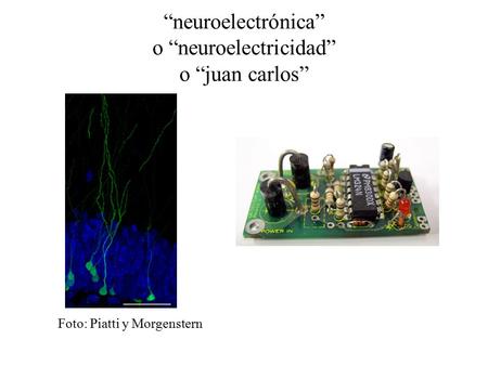 “neuroelectrónica” o “neuroelectricidad” o “juan carlos”