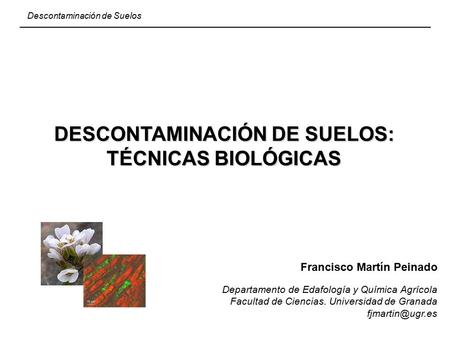 DESCONTAMINACIÓN DE SUELOS: