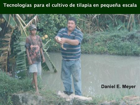 Tecnologías para el cultivo de tilapia en pequeña escala Daniel E. Meyer.