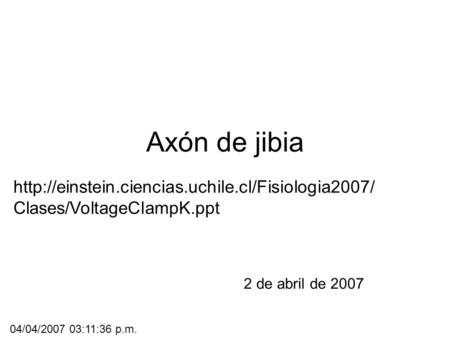 Axón de jibia 2 de abril de 2007  Clases/VoltageClampK.ppt 04/04/2007 03:11:36 p.m.