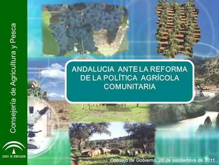 Consejería de Agricultura y Pesca ANDALUCIA ANTE LA REFORMA DE LA POLÍTICA AGRÍCOLA COMUNITARIA Consejo de Gobierno, 20 de septiembre de 2011.