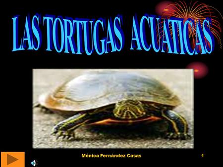 Mónica Fernández Casas1. 2 Introducción: esta sección se ha hecho para solucionar la principales dudas que pueden surgir cuando se tiene una tortuga.