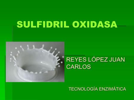 SULFIDRIL OXIDASA REYES LÓPEZ JUAN CARLOS TECNOLOGÍA ENZIMÁTICA.
