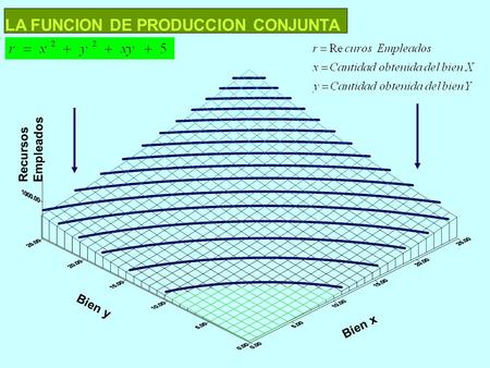 LA FUNCION DE PRODUCCION CONJUNTA Bien y Bien x Recursos Empleados.