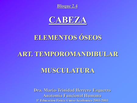 CABEZA ELEMENTOS ÓSEOS ART. TEMPOROMANDIBULAR MUSCULATURA Bloque 2.4
