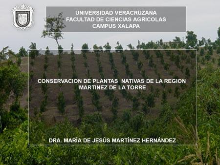 CONSERVACION DE PLANTAS NATIVAS DE LA REGION MARTINEZ DE LA TORRE DRA. MARÍA DE JESÚS MARTÍNEZ HERNÁNDEZ UNIVERSIDAD VERACRUZANA FACULTAD DE CIENCIAS AGRICOLAS.
