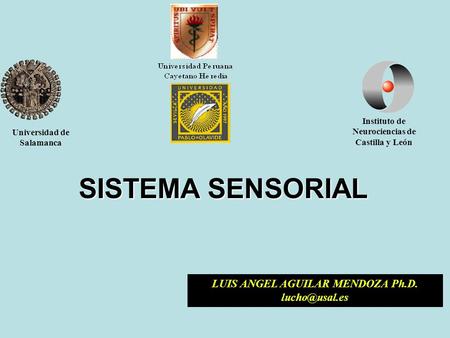 Universidad de Salamanca Instituto de Neurociencias de Castilla y León LUIS ANGEL AGUILAR MENDOZA Ph.D. SISTEMA SENSORIAL.
