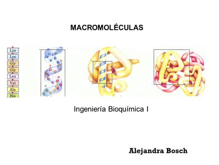 MACROMOLÉCULAS Ingeniería Bioquímica I Alejandra Bosch.