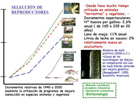 SELECCIÓN DE REPRODUCTORES