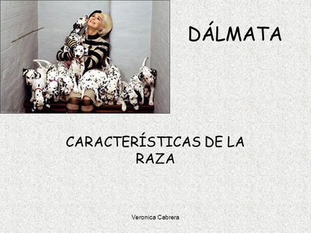 Veronica Cabrera DÁLMATA CARACTERÍSTICAS DE LA RAZA.