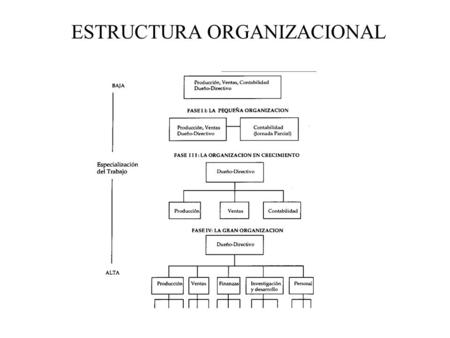 ESTRUCTURA ORGANIZACIONAL