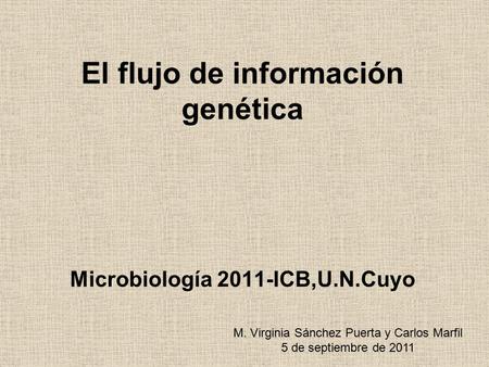 El flujo de información genética Microbiología 2011-ICB,U.N.Cuyo M. Virginia Sánchez Puerta y Carlos Marfil 5 de septiembre de 2011.