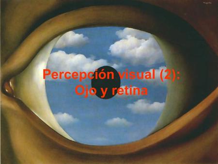 Percepción visual (2): Ojo y retina.