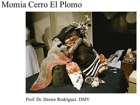 Momia Cerro El Plomo                                                                                        Prof. Dr. Héctor Rodríguez. DMV.