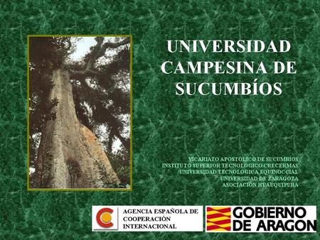 TALLER 5 “ANTEPROYECTO ARQUITECTÓNICO” C.I.A.M.A. CENTRO DE INVESTIGACIONES AGROPECUARIAS Y MEDIOAMBIENTALES PARA LA AMAZONIA Los objetivos.