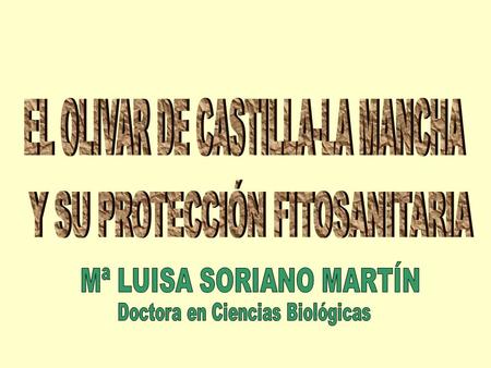 EL OLIVAR DE CASTILLA-LA MANCHA