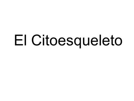 El Citoesqueleto.