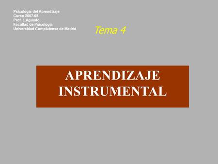 APRENDIZAJE INSTRUMENTAL