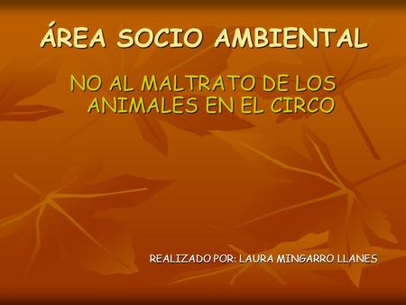 ÁREA SOCIO AMBIENTAL NO AL MALTRATO DE LOS ANIMALES EN EL CIRCO REALIZADO POR: LAURA MINGARRO LLANES REALIZADO POR: LAURA MINGARRO LLANES.