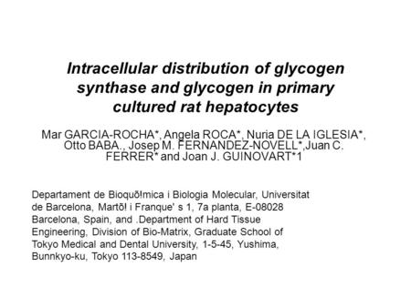 Intracellular distribution of glycogen synthase and glycogen in primary cultured rat hepatocytes Mar GARCIA-ROCHA*, Angela ROCA*, Nuria DE LA IGLESIA*,