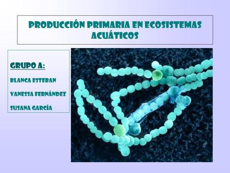 PRODUCCIÓN PRIMARIA EN ECOSISTEMAS ACUÁTICOS