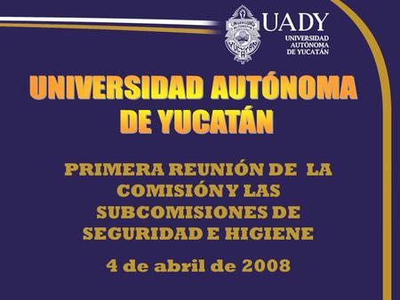PRIMERA REUNIÓN DE LA COMISIÓN Y LAS SUBCOMISIONES DE SEGURIDAD E HIGIENE 4 de abril de 2008.