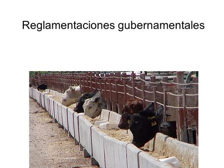Reglamentaciones gubernamentales. 1997 FDA “Prohibición en alimentos balanceados” (21 CFR 589:2000) No se puede alimentar material de vacas, ovejas y.