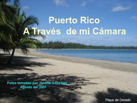 Fotos tomadas por Janette González Agosto del 2007 Puerto Rico A Través de mi Cámara Playa de Dorado.