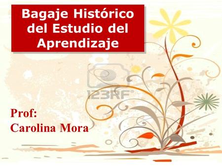 Bagaje Histórico del Estudio del Aprendizaje