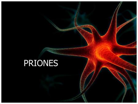 PRIONES.