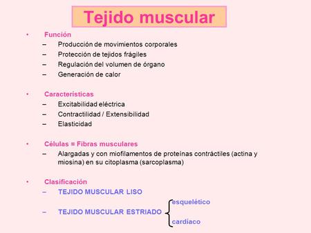 Tejido muscular Función Producción de movimientos corporales