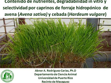 Contenido de nutrientes, degradabilidad in vitro y selectividad por caprinos de forraje hidropónico de avena (Avena sativa) y cebada (Hardeum vulgare)