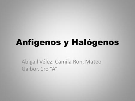 Abigail Vélez. Camila Ron. Mateo Gaibor. 1ro “A”