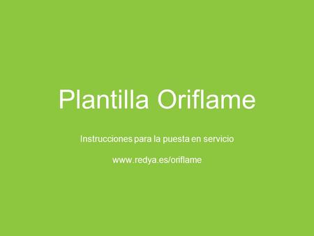 Instrucciones para la puesta en servicio