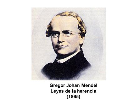 Gregor Johan Mendel Leyes de la herencia (1865)