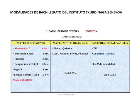 MODALIDADES DE BACHILLERATO DEL INSTITUTO TXURDINAGA BEHEKOA