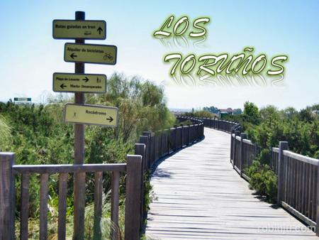 Constituye una península alargada que es el tramo final de isla arenosa situada entre las desembocaduras del Guadalete y del río San Pedro. Es, sin.