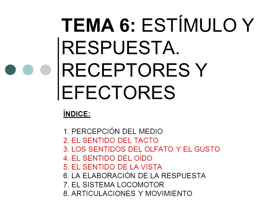 TEMA 6: ESTÍMULO Y RESPUESTA. RECEPTORES Y EFECTORES - ppt video online  descargar