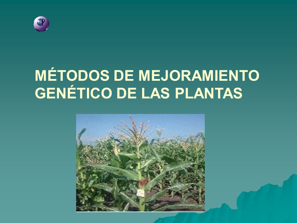 PPT - SISTEMAS REPRODUTIVOS DE PLANTAS CULTIVADAS PowerPoint Presentation -  ID:2435994