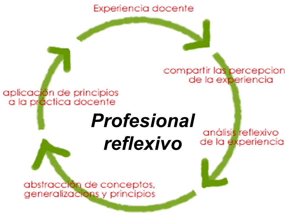 SCHÖN: El profesional reflexivo