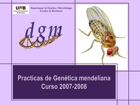 Practicas de Genética mendeliana Curso 2007-2008 Departament de Genètica i Microbiologia Facultat de Biociències.