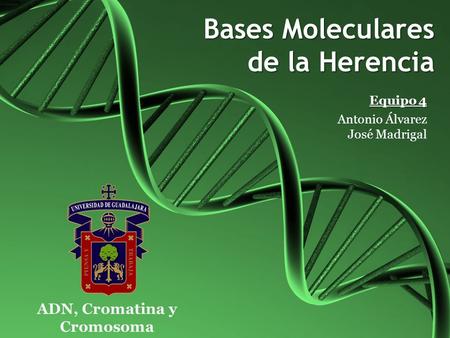 Bases Moleculares de la Herencia
