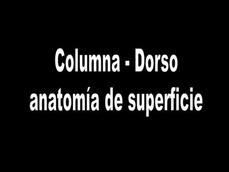 anatomía de superficie