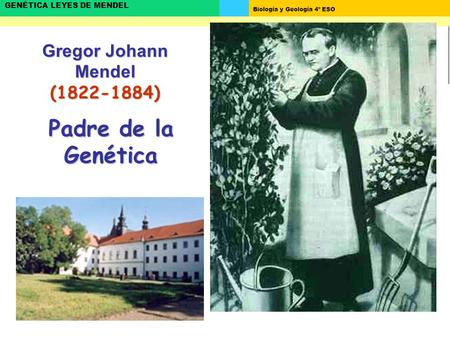 Gregor Johann Mendel ( )