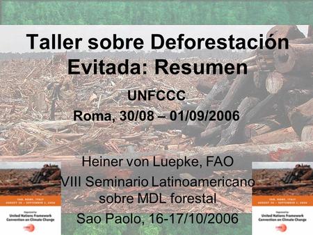 Taller sobre Deforestación Evitada: Resumen UNFCCC Roma, 30/08 – 01/09/2006 Heiner von Luepke, FAO VIII Seminario Latinoamericano sobre MDL forestal Sao.