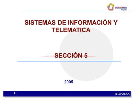 TELEMATICA 1 SISTEMAS DE INFORMACIÓN Y TELEMATICA SECCIÓN 5 2005.