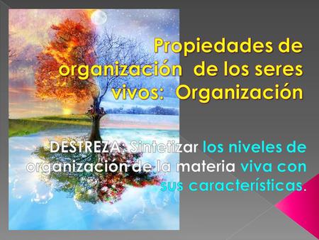 Propiedades de organización de los seres vivos: Organización