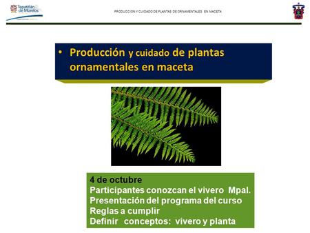 PRODUCCION Y CUIDADO DE PLANTAS DE ORNAMENTALES EN MACETA Producción y cuidado de plantas ornamentales en maceta Marzo 2003 4 de octubre Participantes.