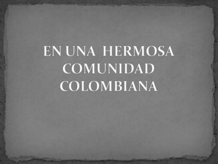 Evidenciar procesos de gerencia social Reducción de la inequidad Reducción de la pobreza Fortalecimiento del Estado democrático Fortalecimiento.