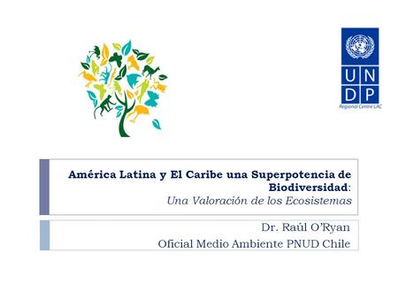 Dr. Raúl O’Ryan Oficial Medio Ambiente PNUD Chile